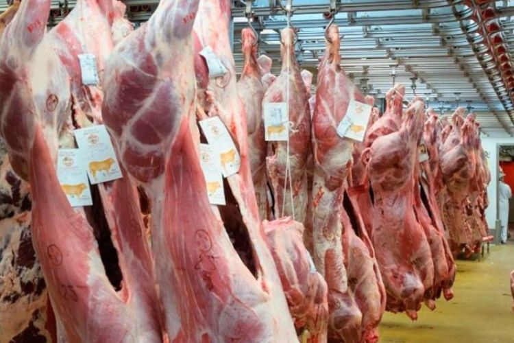 Ministro Acosta afirma que en el país se produce carne con altos estándares de calidad Managua. Radio La Primerísima