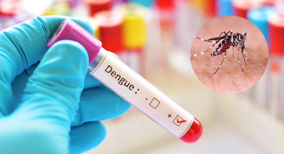 Advierten que altas temperaturas podrían aumentar casos de dengue Ginebra. Prensa Latina