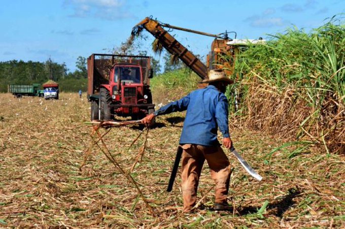 Proyectan producir 16 millones de quintales en próxima zafra azucarera Managua. Douglas Midence, Radio La Primerísima
