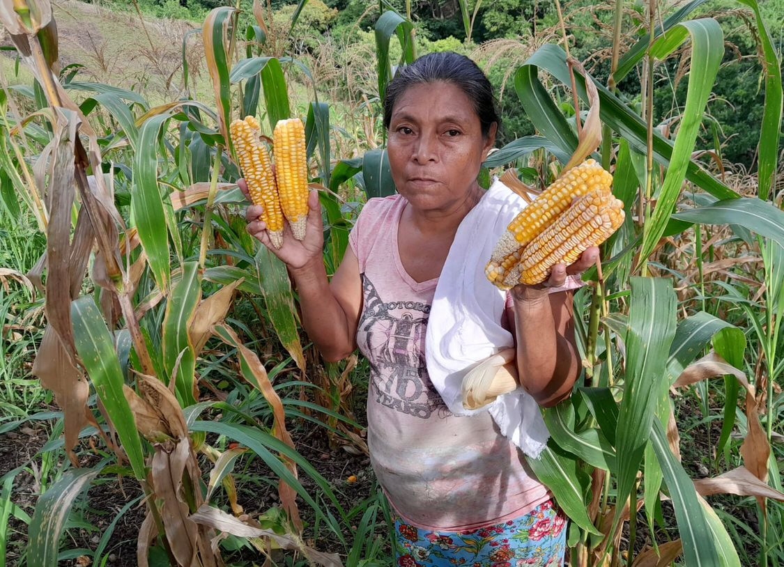 Mujeres del campo: poder económico Managua. Radio La Primerísima
