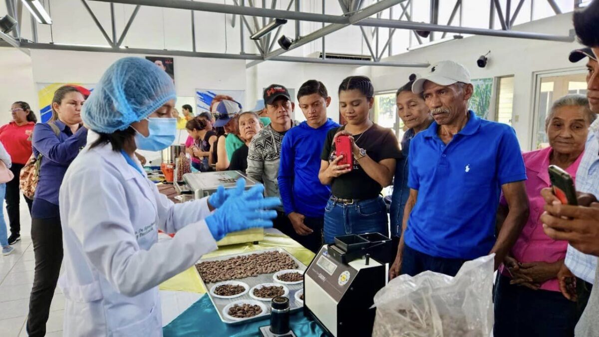 Inicia Certamen Nacional De Cacao De Excelencia Radio La Primerisima Inicia Certamen Nacional De Cacao De Excelencia Radio La Primerisima
