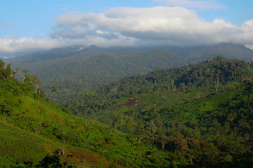 Fondo Verde del Clima viola la ética para agredir a Nicaragua Managua. Consejo de Comunicación y Ciudadanía