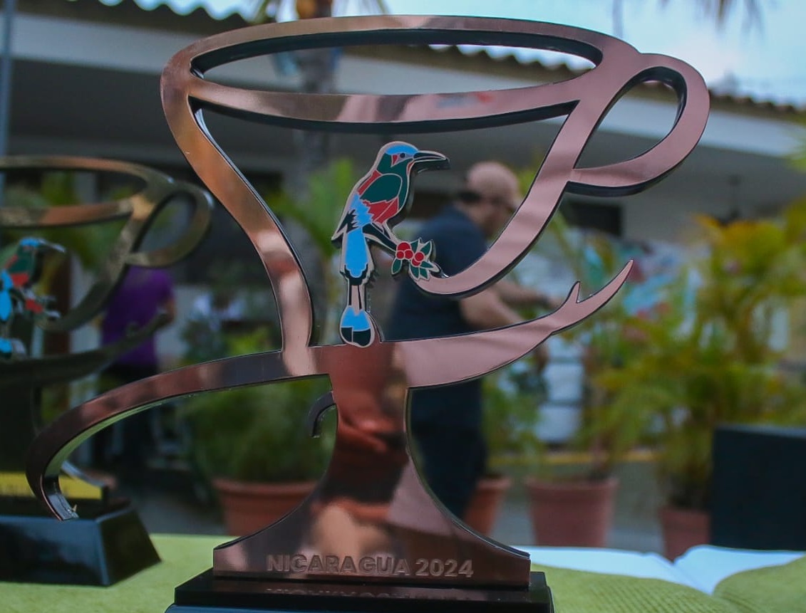 El mejor café del país se produce en Nueva Segovia Managua. Consejo de Comunicación y Ciudadanía