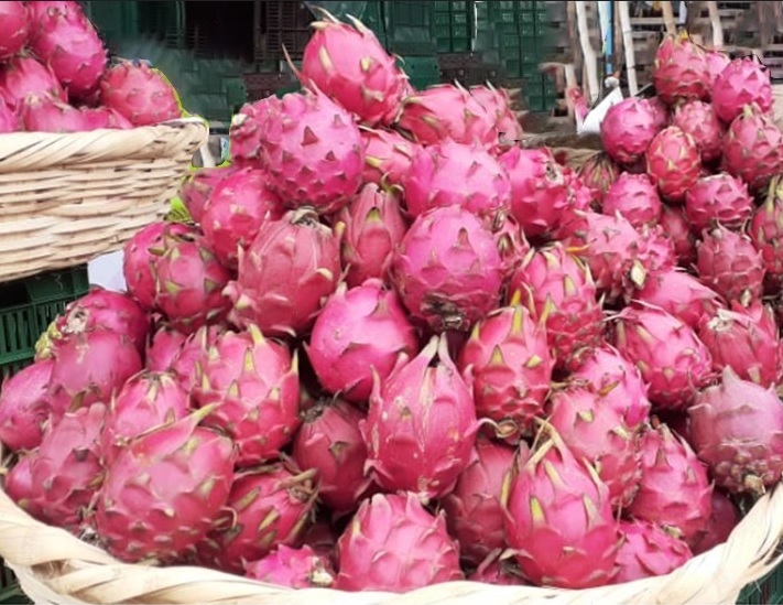 Pitahaya y piña generan más de 46 millones de dólares en divisas Managua. Consejo de Comunicación y Ciudadanía