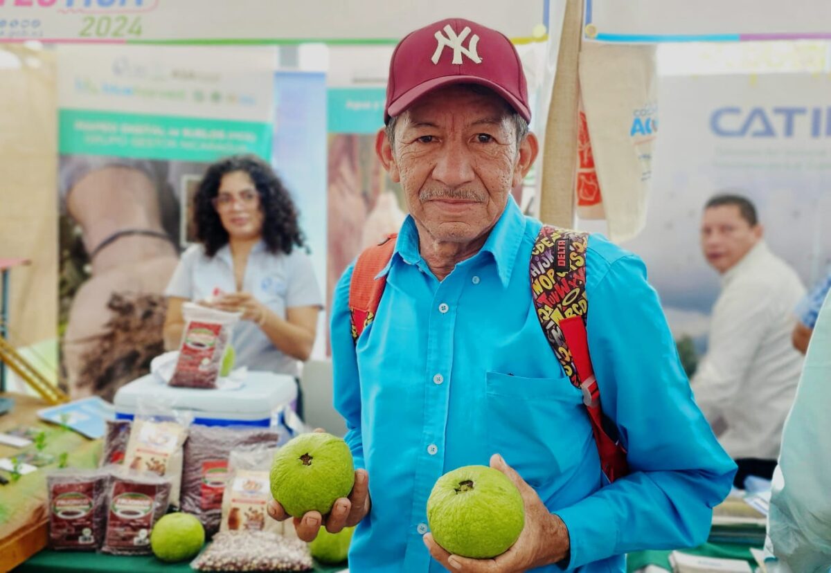 Innovador jinotegano ve frutos del esfuerzo de su trabajo con apoyo del INTA Managua. Danielka Ruíz, Radio La Primerísima
