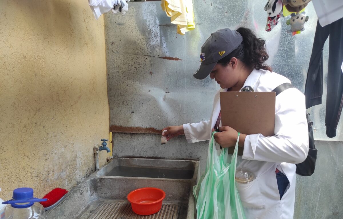 Los mosquitos seguirán, lo que importa es su control Managua. Por Jorge Jenkins Molieri (*), Consejo de Comunicación y Ciudadanía.