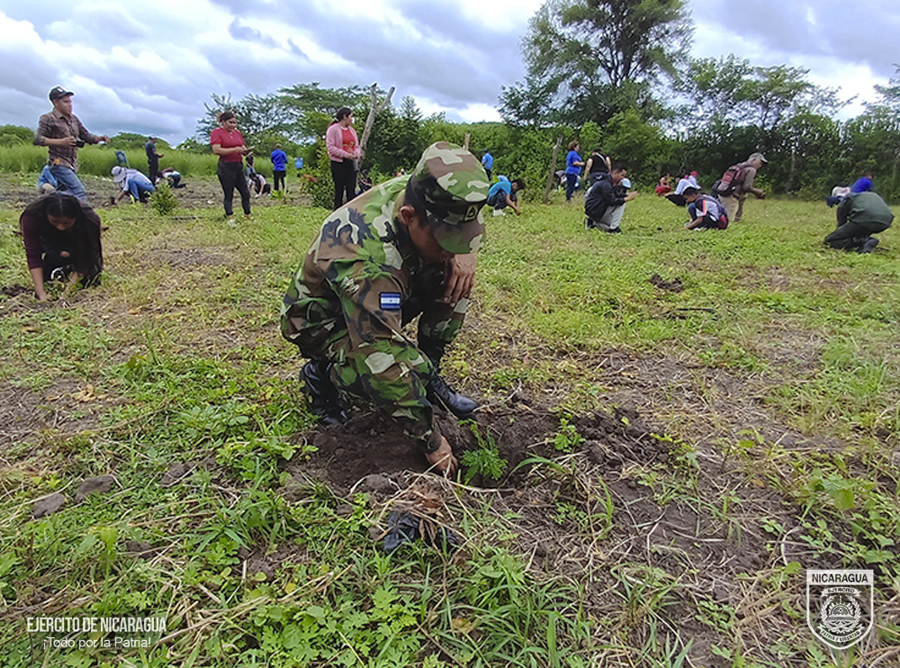 Lanzan cruzada de reforestación “Verde, que te quiero Verde” en Madriz Managua. Radio La Primerísima