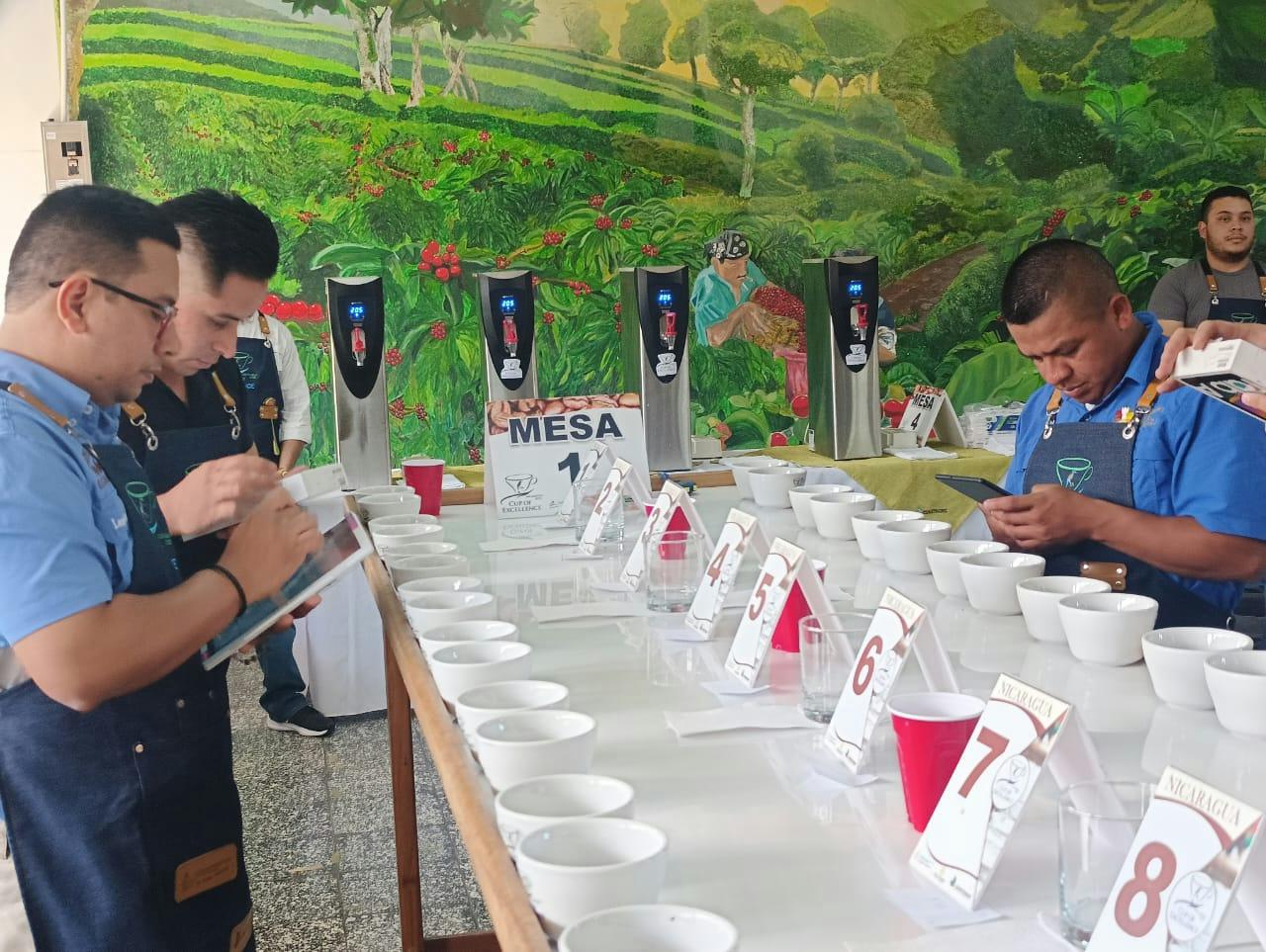 Seleccionan a jurado para Taza de Excelencia Nicaragua 2025 Managua. Consejo de Comunicación y Ciudadanía